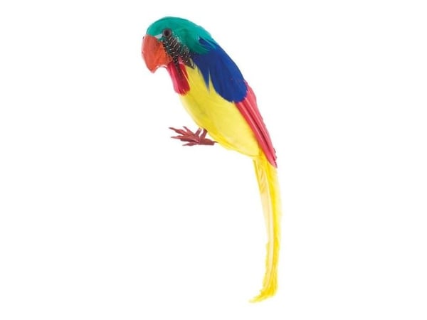 Papegøje, 30 cm