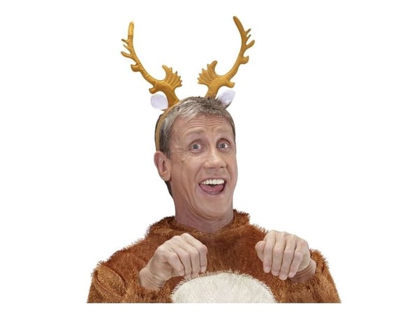 Renhorn
