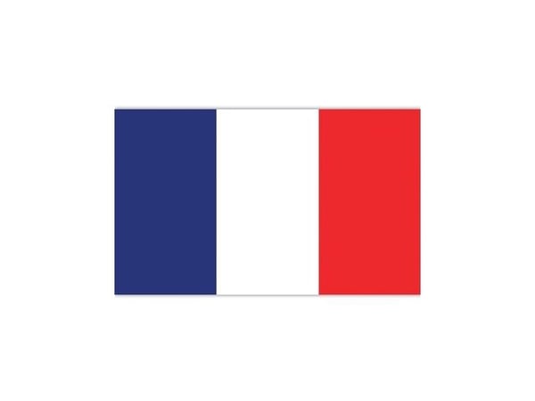 Flag Frankrig, 90 x 150