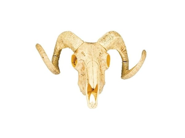 Boland 54319, Dekorasjon, Polyethylen, Beige, 180 g, 300 mm, 160 mm