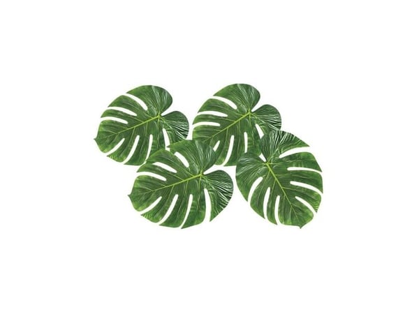 Palmblad 4 st