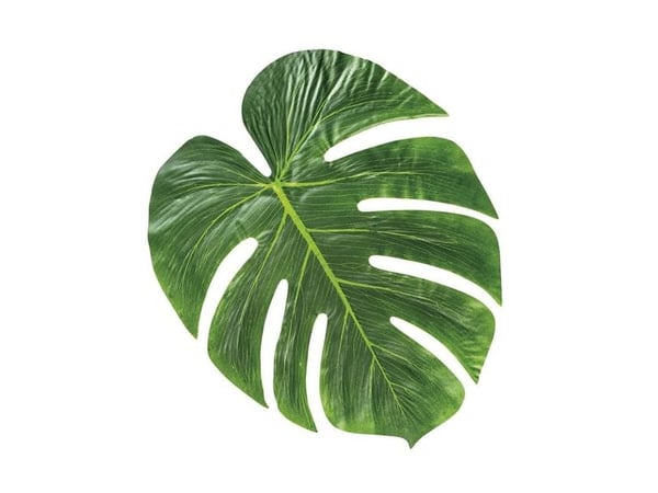 Palmblad 4 st
