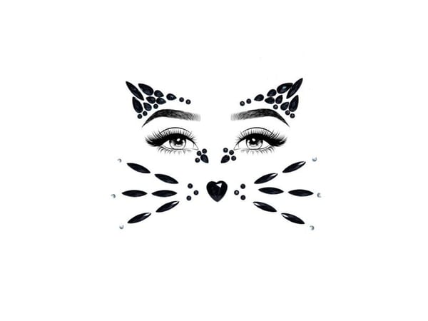 Ansiktssten (katt)