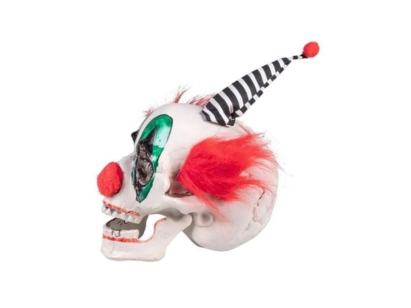 Clownkranium