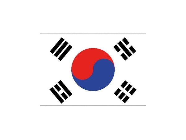 Flagga Sydkorea, 90 x 150 cm