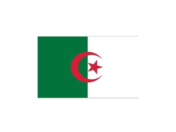 Flag Algeriet 90 x 150 cm