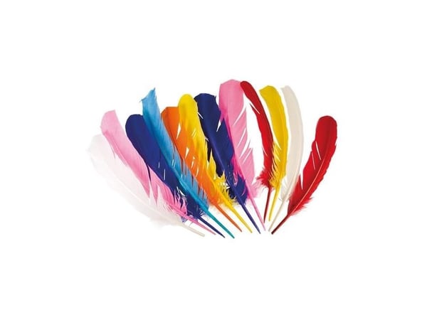 Boland 44135, Fjær til kostyme, Voksen og barn, Alle kjønn, Feather, Flerfarget, 33 g