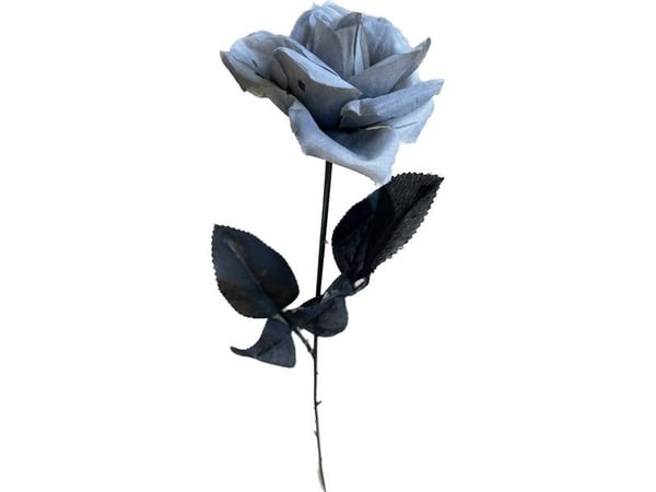 Grå rose Grå rose