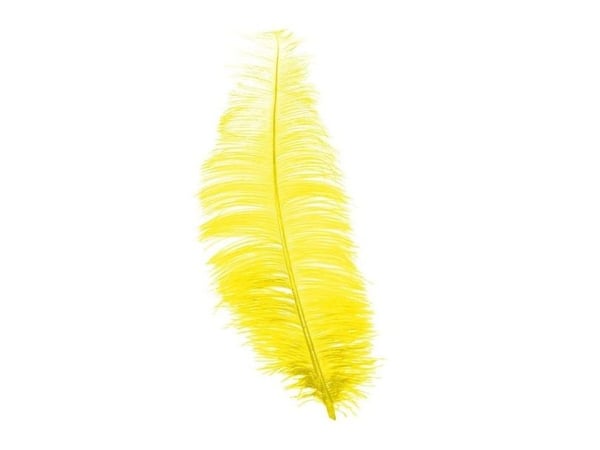 Gule strudsefjer 30 cm, 12 stk