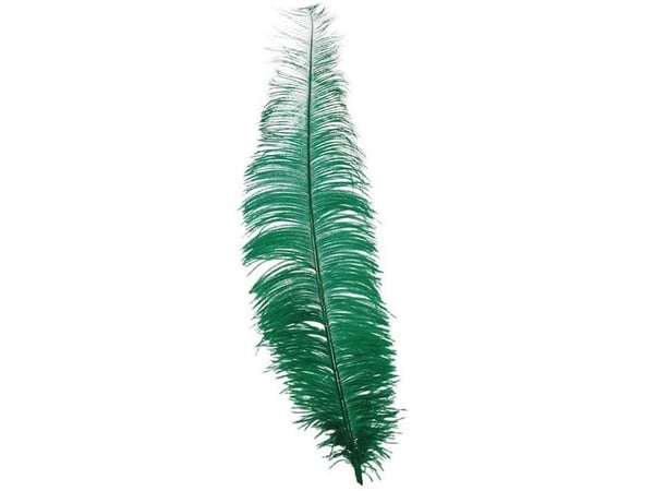 Grønne strudsfjer 40 cm, 12 stk
