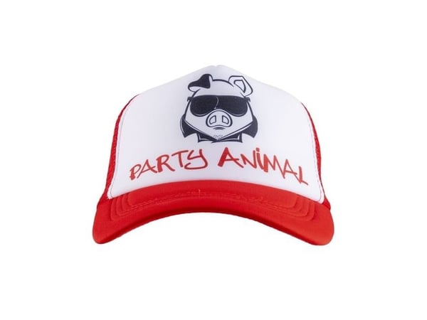 Party animal kasket