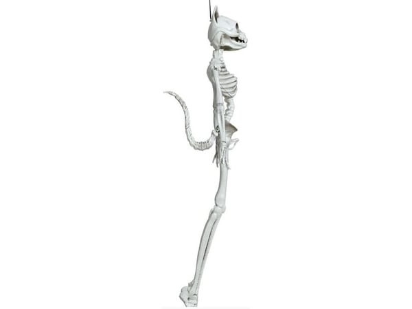 Riippuva kissan luuranko, 37 cm