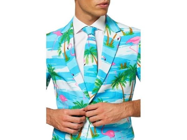 Sommer OppoSuit Flaminguy