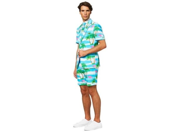 Sommer OppoSuit Flaminguy