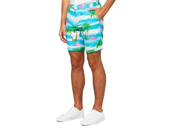 Sommer OppoSuit Flaminguy