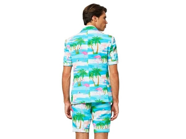Sommer OppoSuit Flaminguy