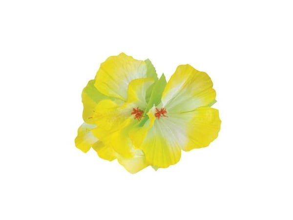 Hårblomst med klemme