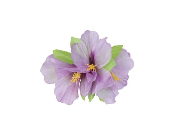 Hårblomst med klemme