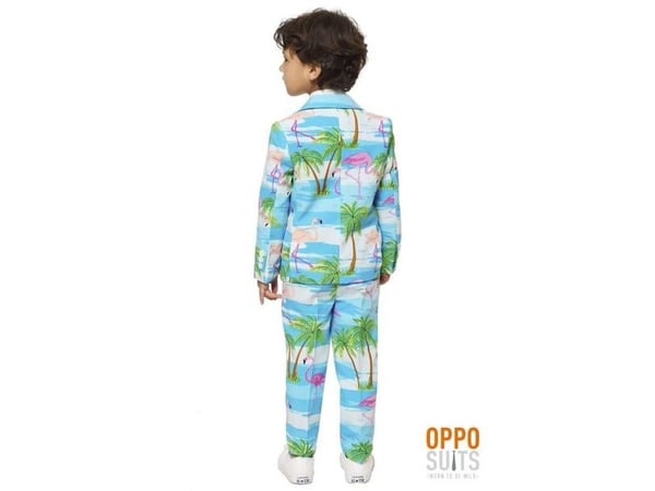 OppoSuit Flaminguy, poika