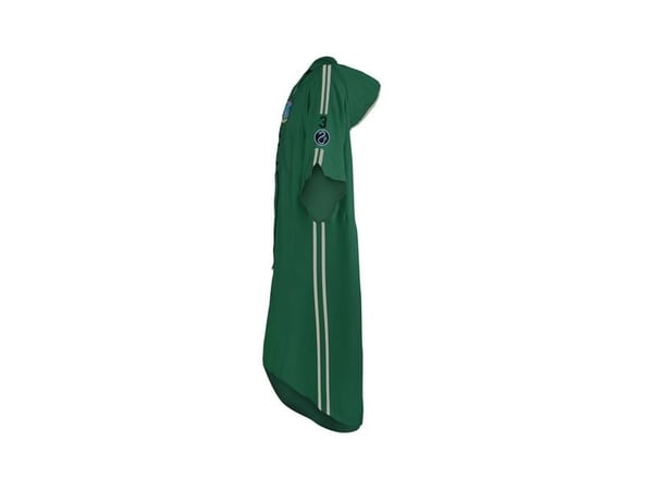 Slytherin Quidditch kostume