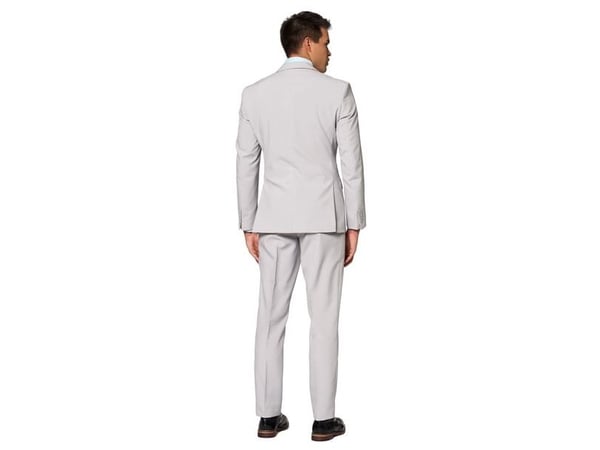 Grå kostym för vuxna OppoSuits