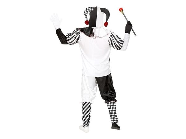Harlequin gycklarkostym