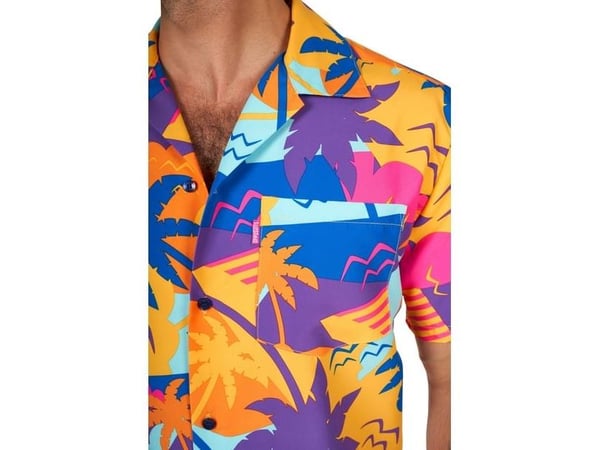 Palm Power sommerset