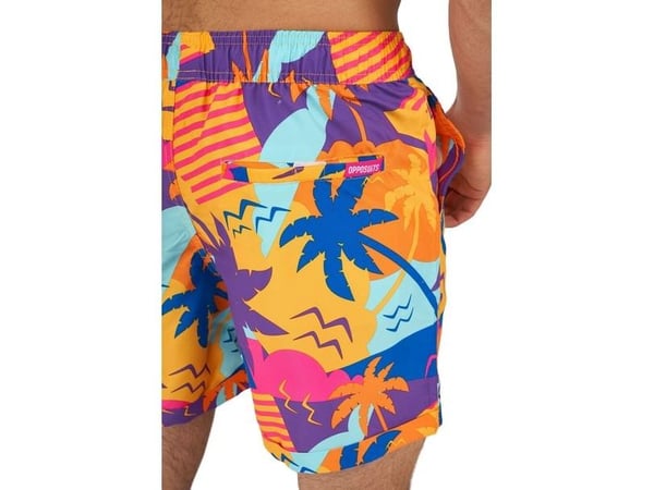 Palm Power sommarsats