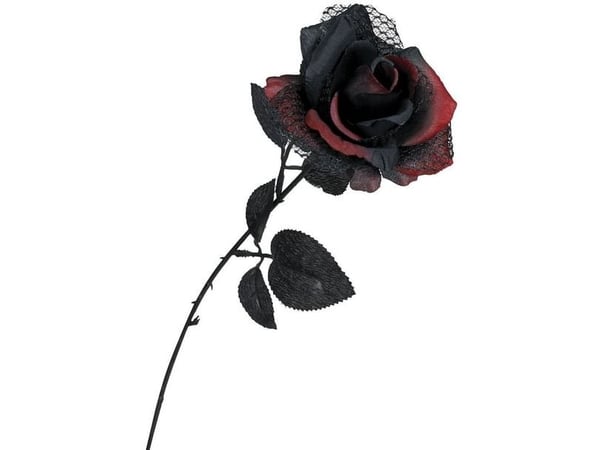 Sort og rød rose