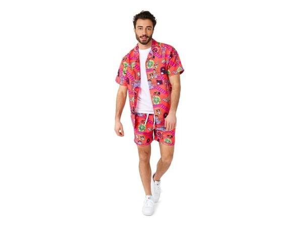 Rick & Morty sommarset