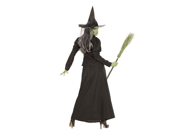 Fairytale Witch kostym