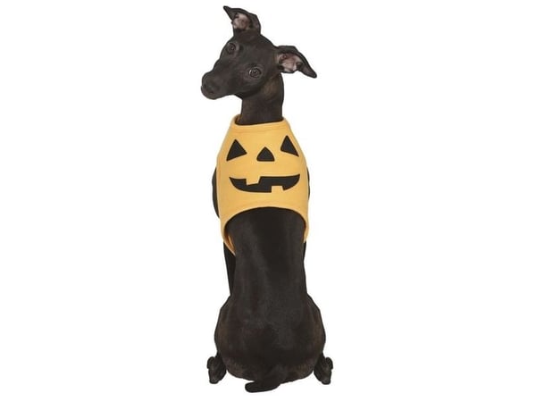 Græskar kostume til hund