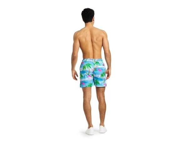 Badshorts flamingo