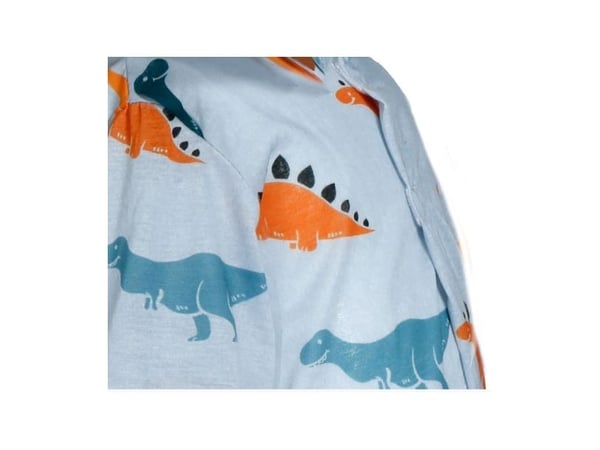 Dinosaur baby jumpsuit