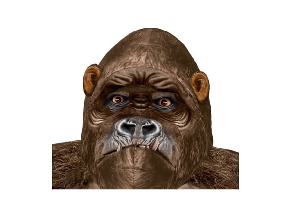 Big Kong utklädnad