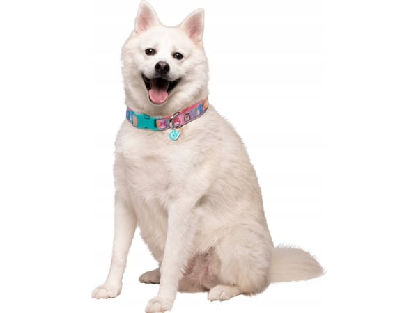 SQUISHMALLOWS hundhalsband, stort