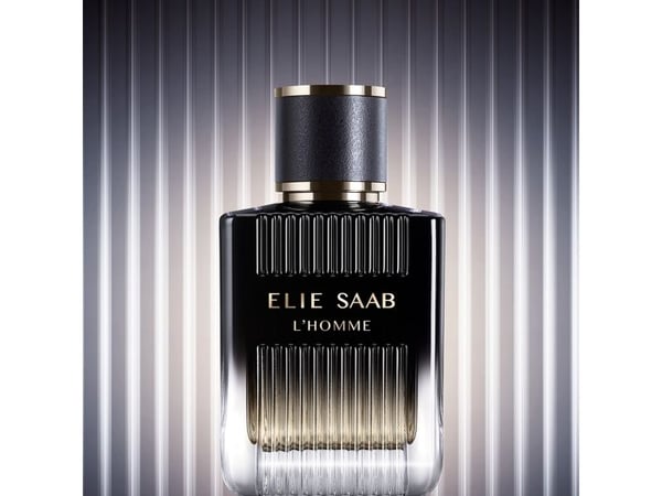 Elie Saab L'Homme Eau De Parfum 100 ml (man)