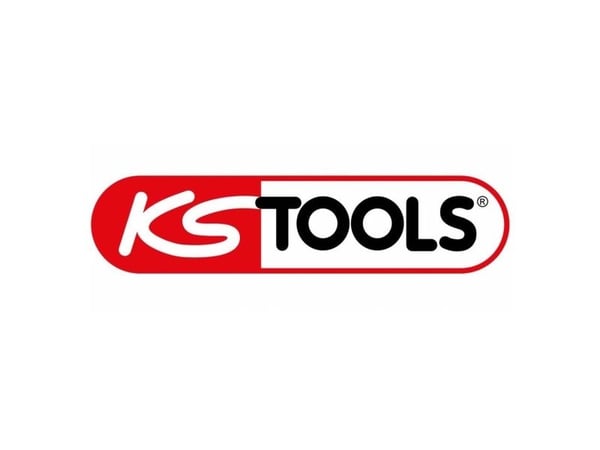 KS TOOLS Werkzeug-maschinen GmbH innvendig låsetang med utskiftbare spisser (500.1302)