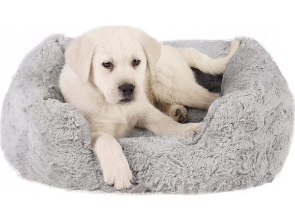 Barry King BEST FRIENDS LOUNGE LUX LEGOWISKO 50x38 cm lysegrå