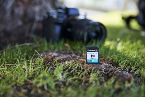 Kingston Canvas Go! Plus - Flashminnekort - 1 TB - Video Class V30 / UHS-I U3 / Class10 - SDXC UHS-I
