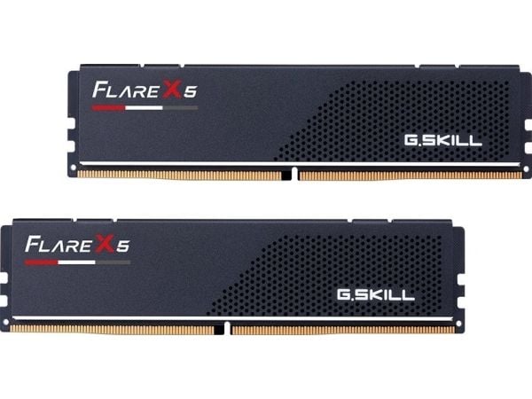 G.Skill Flare X5 DDR5 RAM 96 GB 6000 MHz CL30, 2 x 48 GB