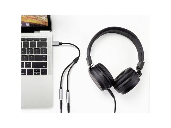 Renkforce RF-6627280, USB-C, Hankjønn, 2 x 3.5mm, Hunkjønn, 0,2 m, Sort, Grå