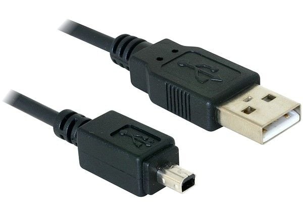 Delock - USB-kabel - USB (hane) till mini-USB typ B (hane) - 1.5 m