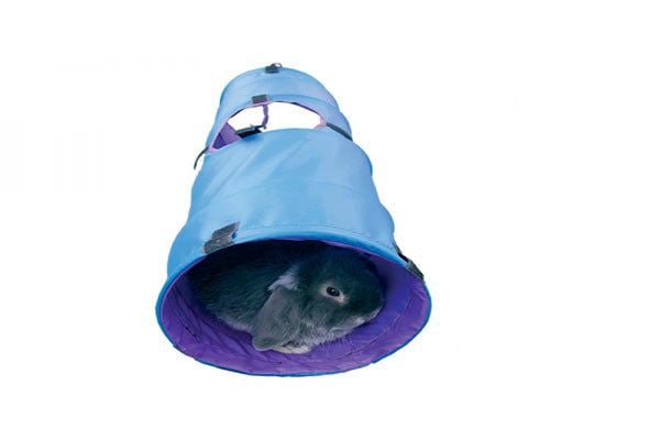 Rosewood Activity Tunnel