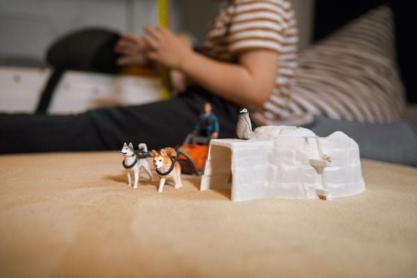 Schleich Antarctic Expedition