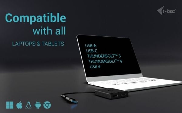i-Tec - Video adapter - USB-C (hann) til DisplayPort (hunn) - Thunderbolt 4 - 27 cm - 4K 60Hz støtte