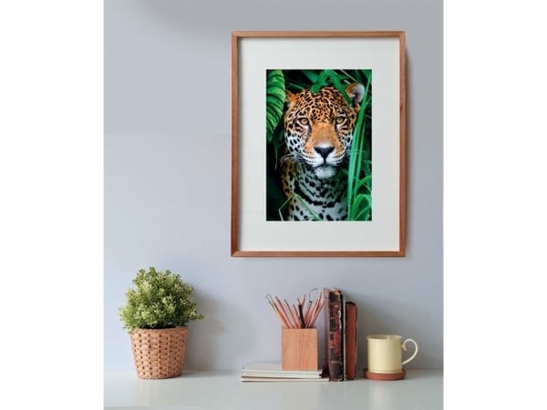 Clementoni High Quality Collection Jaguar in the Jungle, 500 stykker, Dyr, 18 år