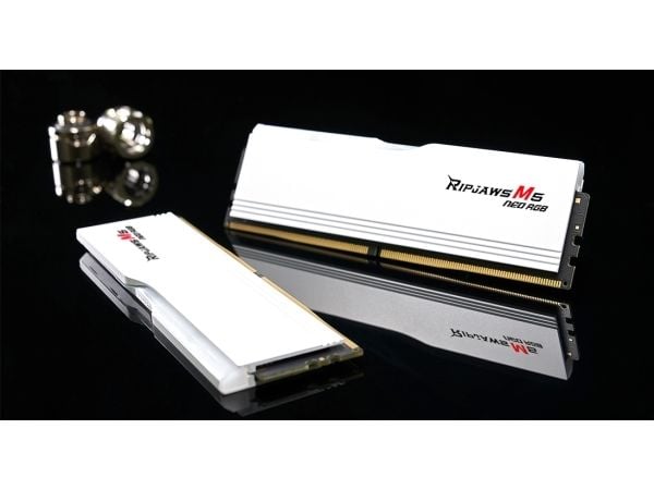 G.Skill Ripjaws M5 Neo RGB - DDR5 - sett - 64 GB: 2 x 32 GB - DIMM 288-pin - 3000 MT/s / PC5-48000 - CL36 - 1.35 V - ikke-bufret - on-die ECC - mat...