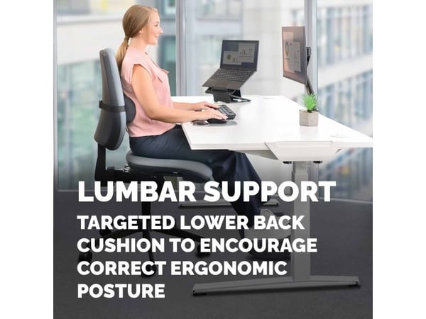 Fellowes Breyta Lumbar Cushion Back Support For Office Chair Black - 100119853