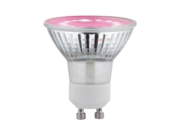 Paulmann 28974, LED-valo, Lasi, Läpinäkyvä, Valkoinen, 4 W, 1100 K, 95 lm